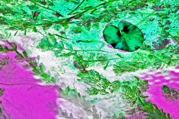 N 056E